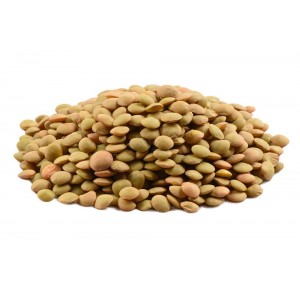 Чечевица зеленая