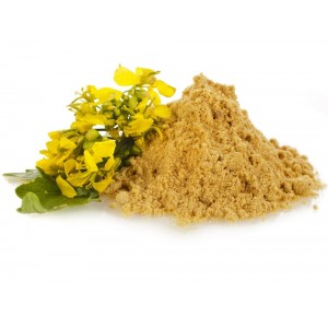 Горчица молотая (порошок)