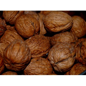 Купить орехи в Москве недорого с доставкой